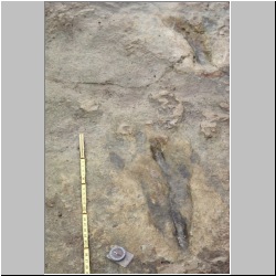 px84b-10-33 dodm.jpg